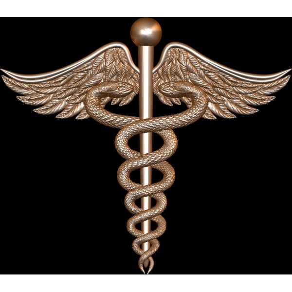 Veterinarian Caduceus